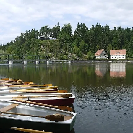 Nyaraló Nr 7a3, Hagbuegerl, Bayr Wald Waldmünchen