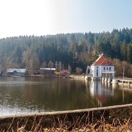 Nr 7a3, Hagbuegerl, Bayr Wald Holiday home *