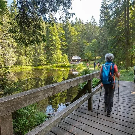 Nr 7a3, Hagbuegerl, Bayr Wald *