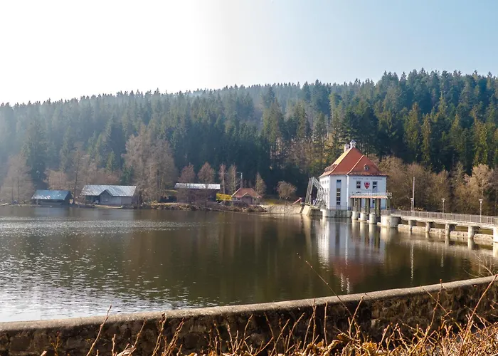Nr 7a3, Hagbuegerl, Bayr Wald Holiday home *