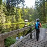 Nr 7a3, Hagbuegerl, Bayr Wald *